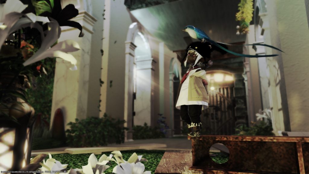 はなちゃんちのはなちゃん