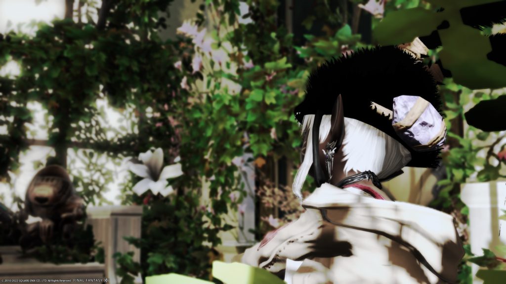 はなちゃんちのはなちゃん